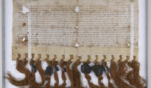 Stadsrechten van 't Gein