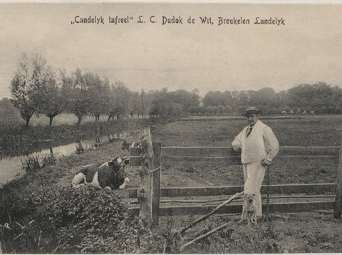 Slangevecht Kees de Tippelaar ansicht