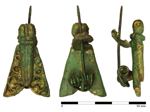 Cicade Fibula Van Utrecht Alexander Van De Bunt