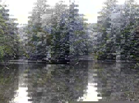 De Gracht Om Fort Bij Vechten