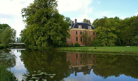 Rhijnauwen