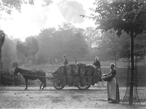 Hovenier met groentenkar
