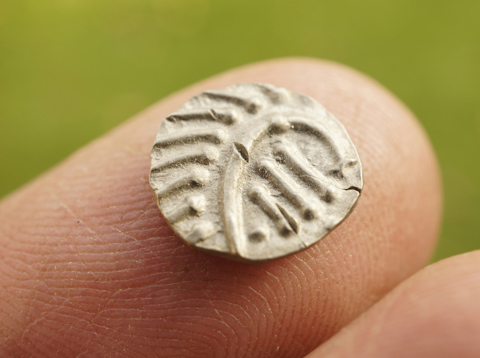 Stekelvarken Sceat