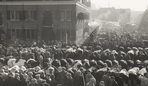 Koeiemart rond 1960